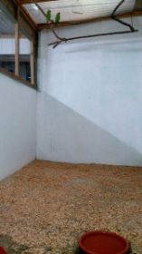 V 09.jpg
